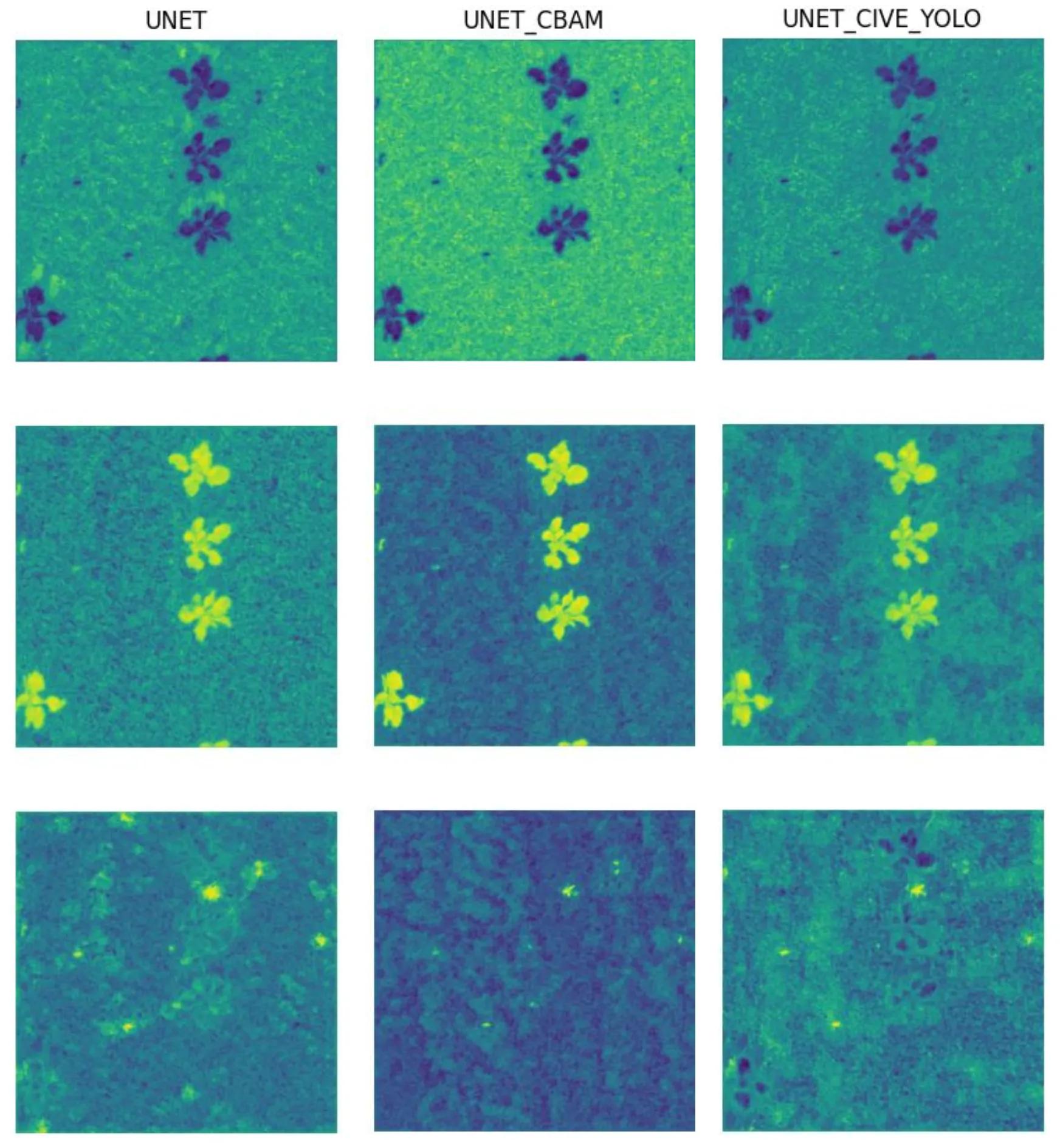 Activation maps for each model for soil, crops, and weeds