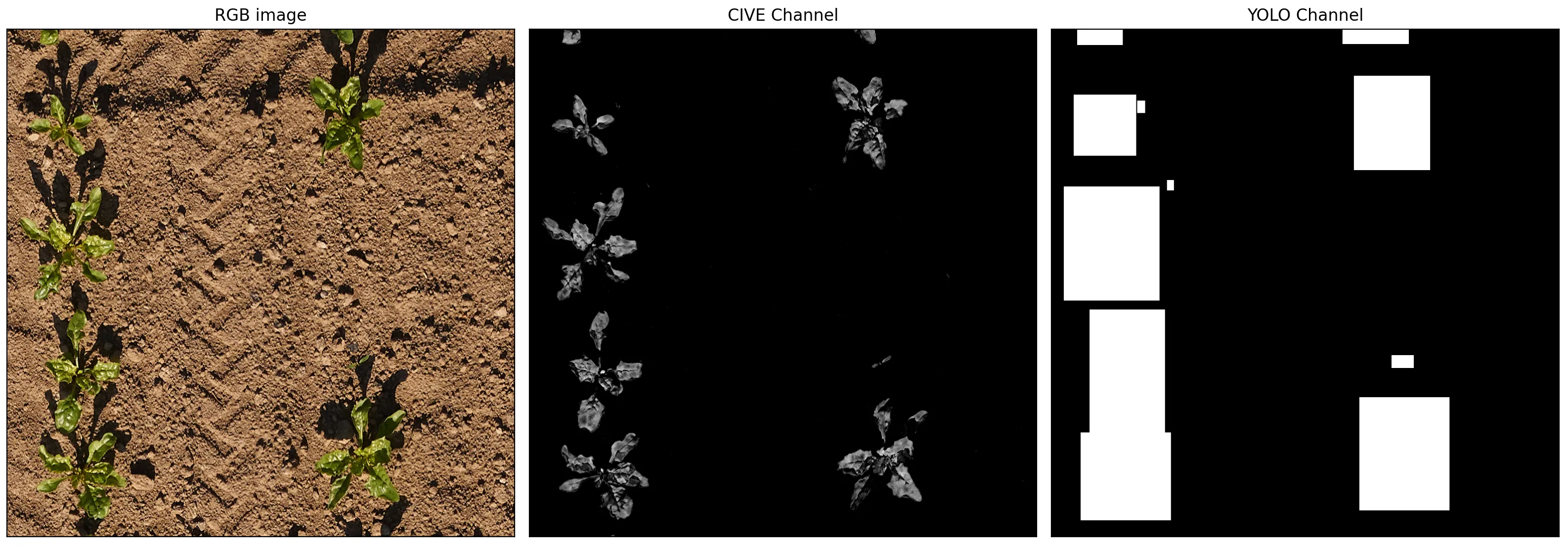 The RGB image, CIVE channel, and YOLO channel fed into the UNET
